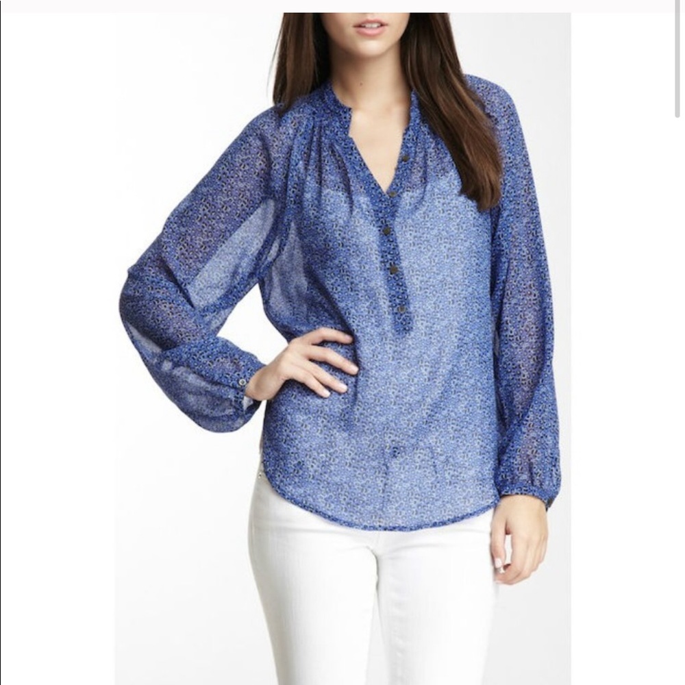EUC Yumi Kim Blue Leopard Trinia Sheer Blouse